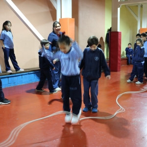 Día de la Actividad Física